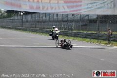 Renzo-Artoni-a-Monza